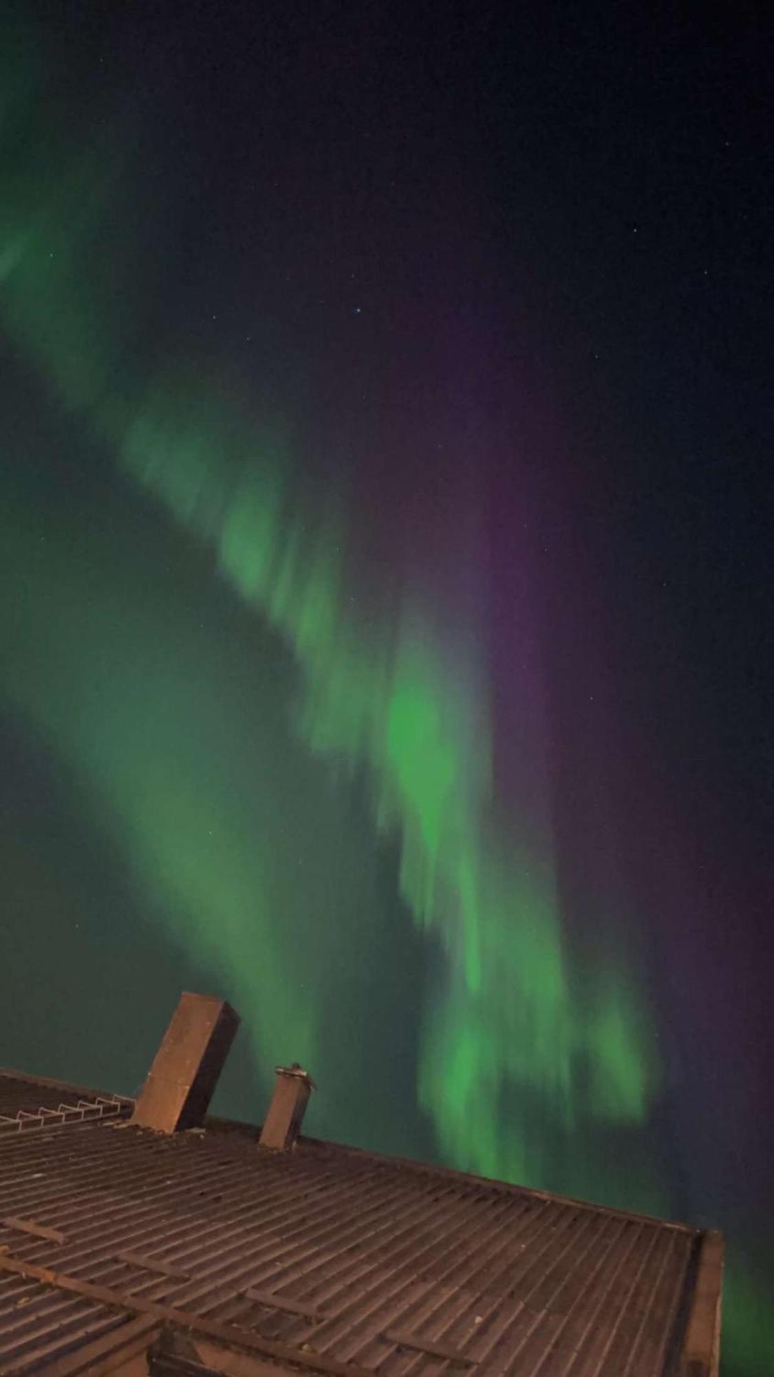 Comfy In Tromsø